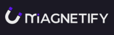 Image logo of Magnetify