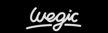 Wegic AI Image logo