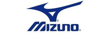 Mizuno Acesso Autorizado