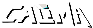Lucan Project Calima Ducati V4 Logo