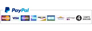 logo paypal paiement