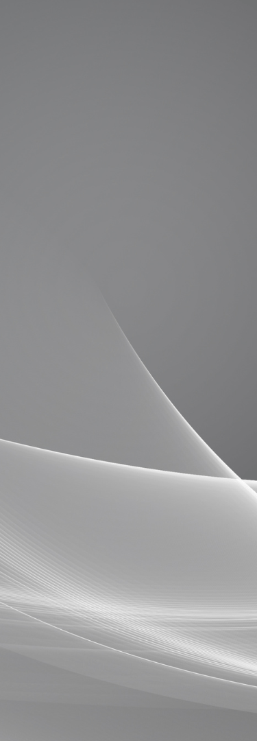 Digital Design 365: Website Design and Development: Premium Scale Plan