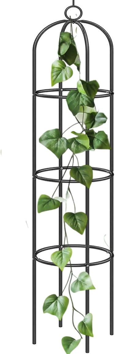 Black metal garden obelisk trellis with climbing green ivy vine for outdoor plant support.