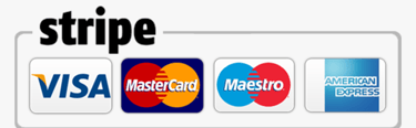 payment 