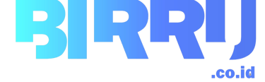 logo birru.co.id