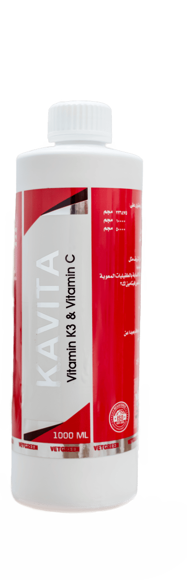 KAVETA