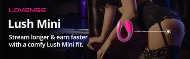 mini vibrator