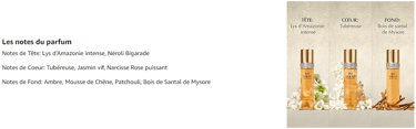 notes de parfum
