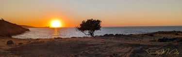 beautiful sunset over the North Aegean Sea with an olive tree in Petra, Greece