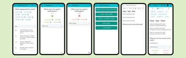 a screenshot of reel frontend code for the journal process in the app