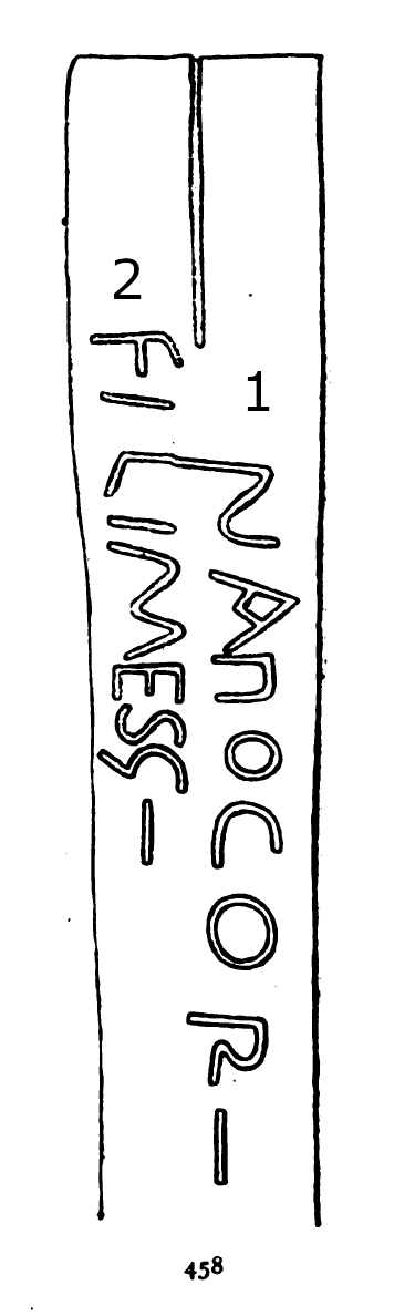 Cardynham Runestone 458 - Cardynham Parish, Cornwall