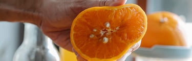Organic Not from Concentrate Juice
