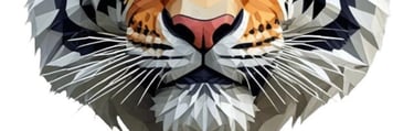 Tiger - Future Tech School Systems - ASK Nova Co