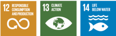 SDG 12 SDG 13 SDG 14