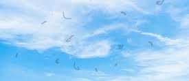 moscas volantes sobre céu azul com nuvens brancas