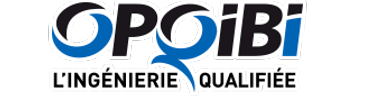 Logo qualification audit
