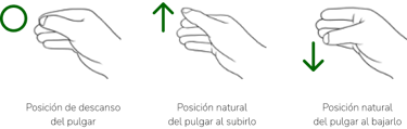 posiciones naturales de la mano