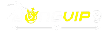 logo-bongvip