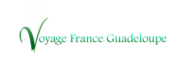 Logo Voyage france guadeloupe