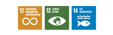 SDG 12 SDG 13 SDG 14