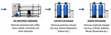 Treatment Process