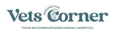 Link to Vets Around the Corner