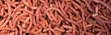 Botana de mezquite