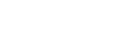 virtual chro.in logo
