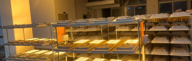 solar led street light aging test