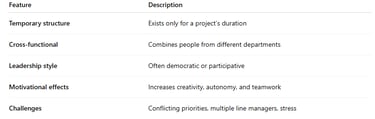 Project-based Organisation Features