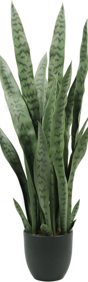 Snake Plant Decor Adding Freshness to Industrial Kitchen Spaces