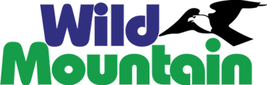 Wild Mountain