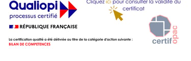 accompagnement reconversion Haute-Savoie. bilan de compétences en ligne visio. reconversion pro