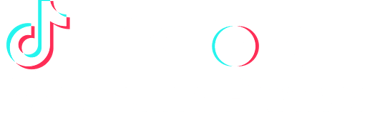 TikTok Marketing Partner