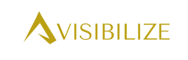 agencia-digital-visibilize