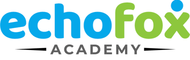EchoFox Academy logo featuring blue and green rounded text above the word ACADEMY in grey.
