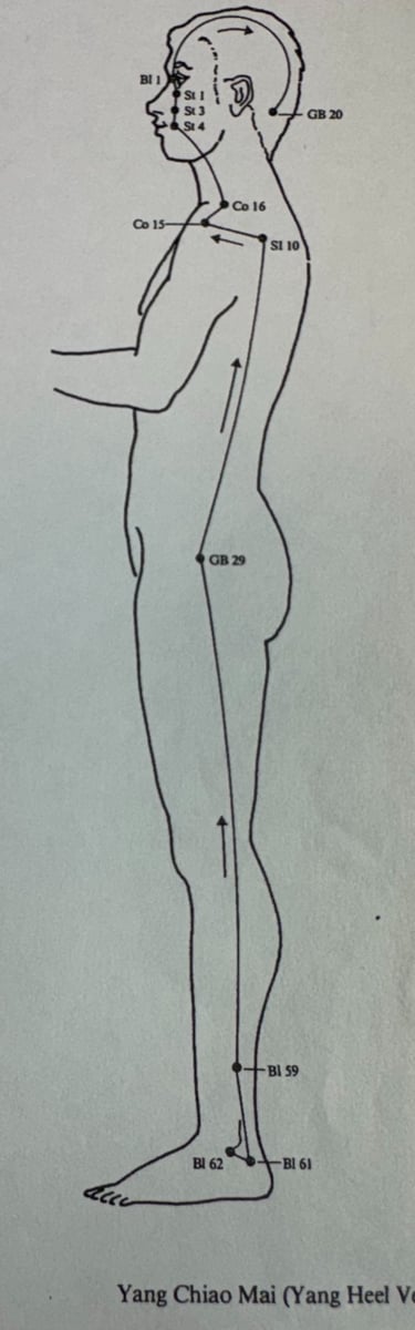 Yang Qiao Mai (Yang Heel Vessel): how we step forward and protect ourselves in the world.