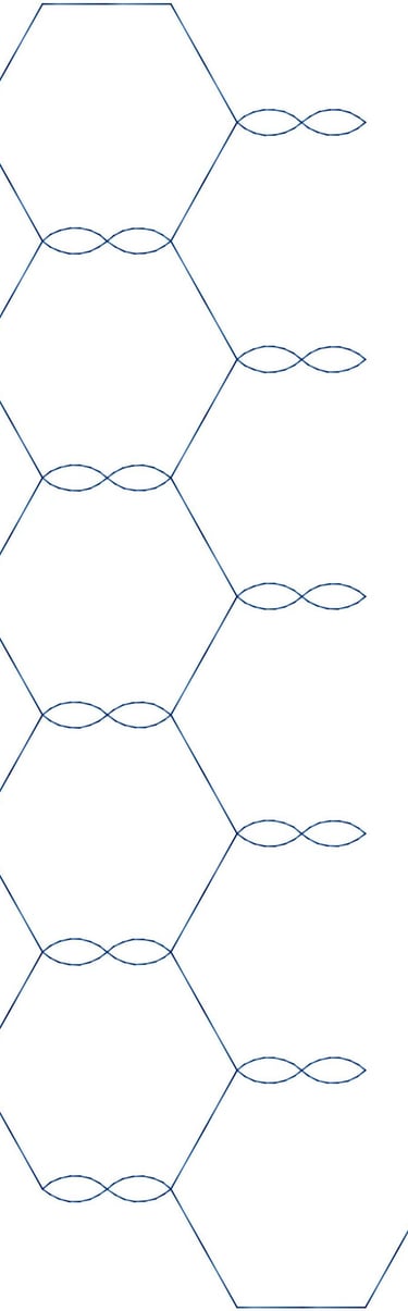 chicken wire e2e Nancy Haacke