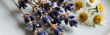 Close-up of dried lavender buds and chamomile flowers in a minimalist ceramic dish, soft natural north light.