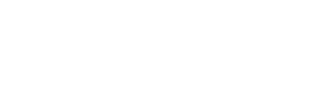 Logo Premier Imports do rodapé do site