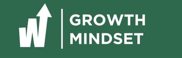 Top HR Consulting Firms in Egypt 