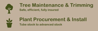 tree maintenance trimming plant procurement and installation
