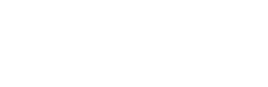 Lenzing Lanka Group (Pvt) Ltd.