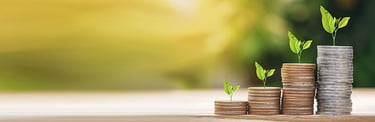 How to increase investments