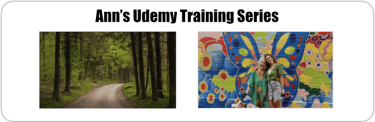 Ann's Udemy Training Series Elevate Your Consciousness