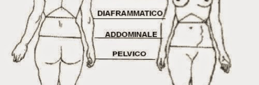 6 diaframmi