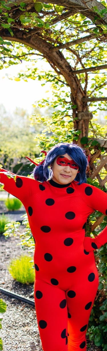 Ladybug