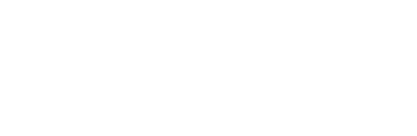 Lenzing Lanka Group (Pvt) Ltd.