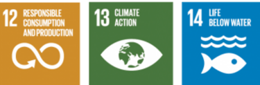 SDG 12 SDG 13 SDG 14