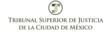 tribunal de la ciudad de mexico